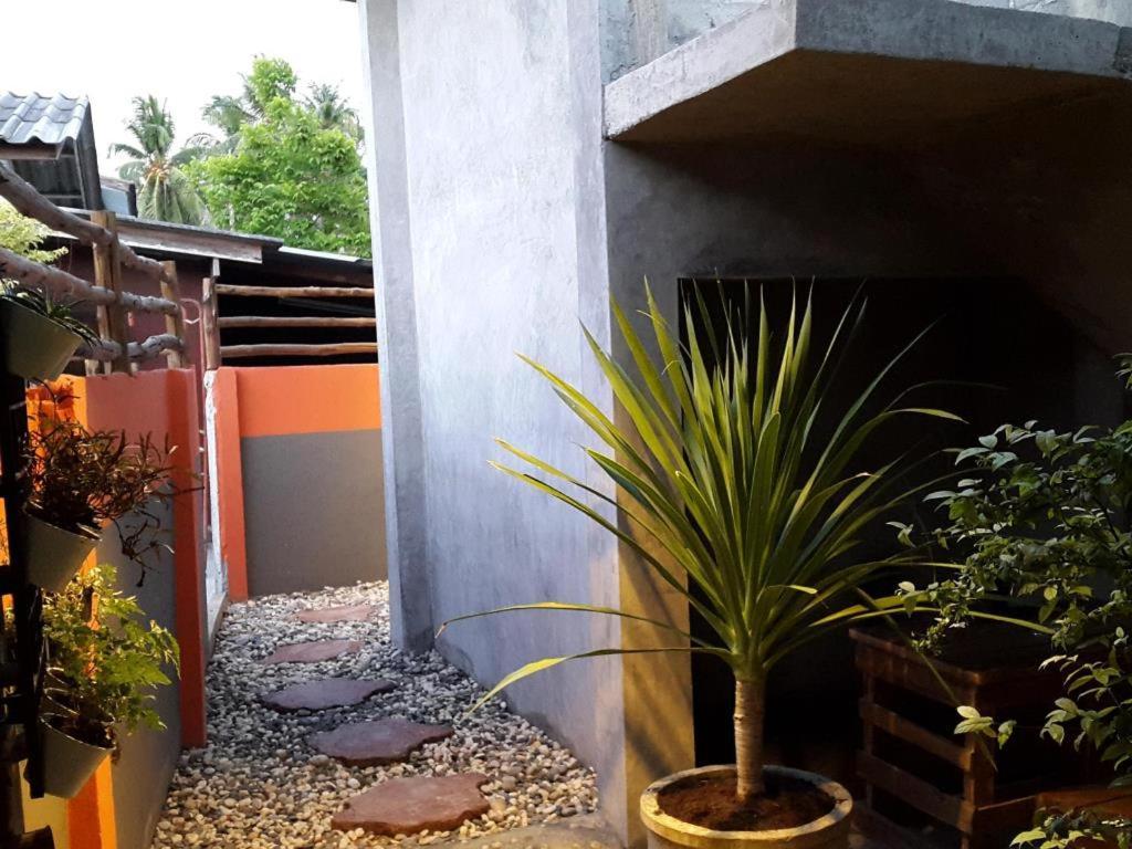 Bigboss Hostel Thong Sala Bagian luar foto